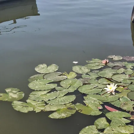 Сasa de vacaciones Békafütty *