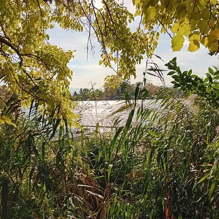 Békafütty Сasa de vacaciones Ráckeve